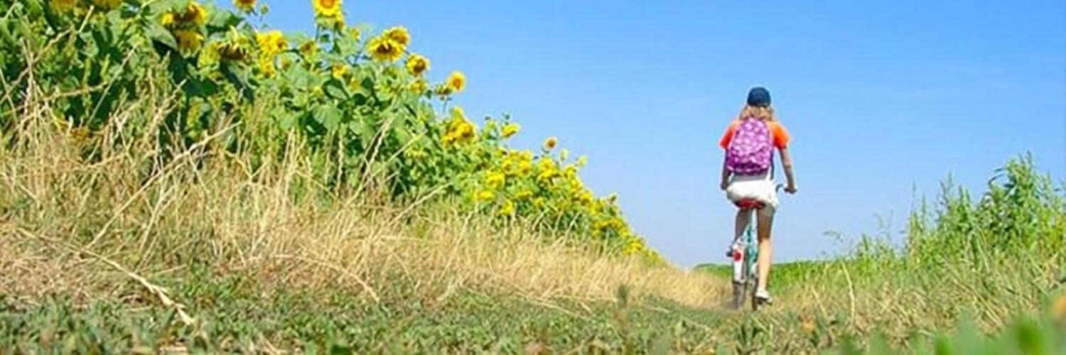 Прокат велосипедов в Казани. Где арендовать велосипед напрокат?