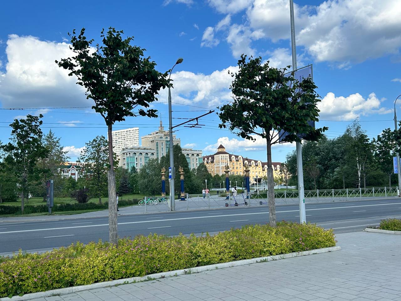 Таблички с растениями на набережной Кабана